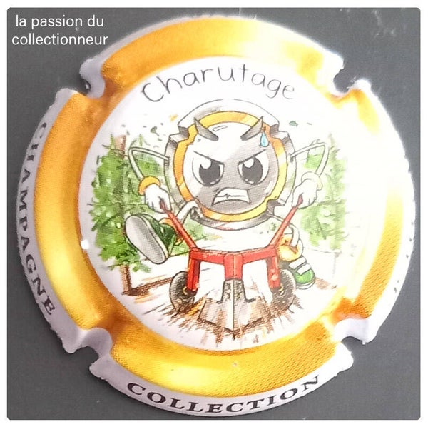 Capsule de champagne générique