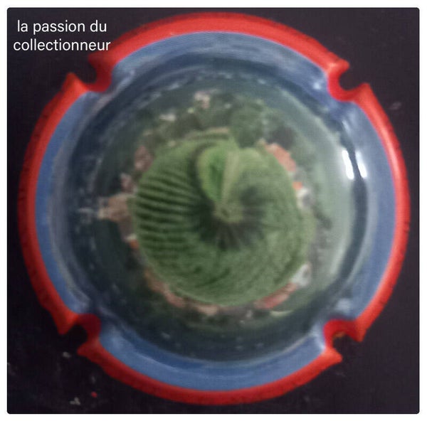 Capsule de champagne générique
