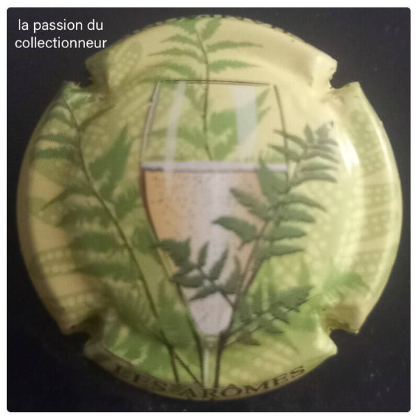 Capsule de champagne générique