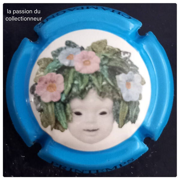 Capsule de champagne générique
