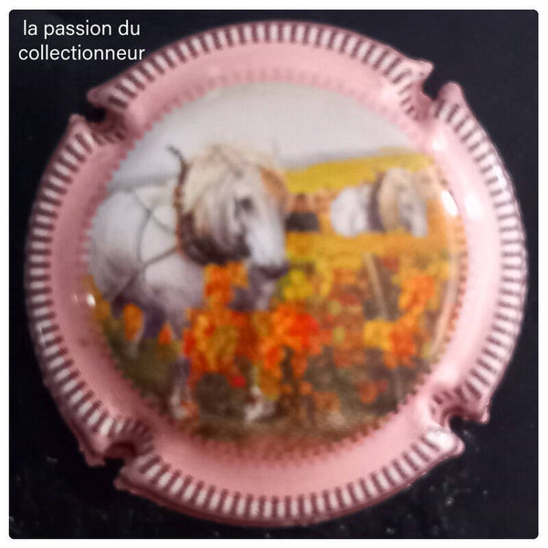 Capsule de champagne générique