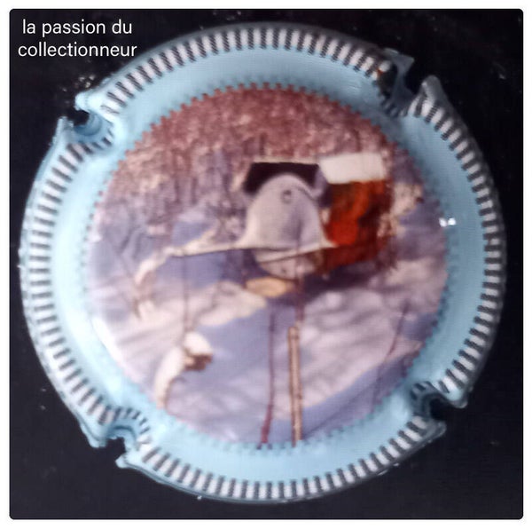 Capsule de champagne générique