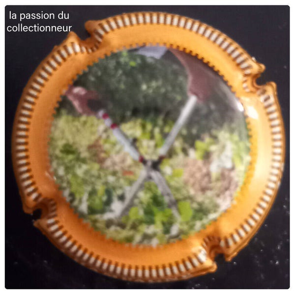Capsule de champagne générique