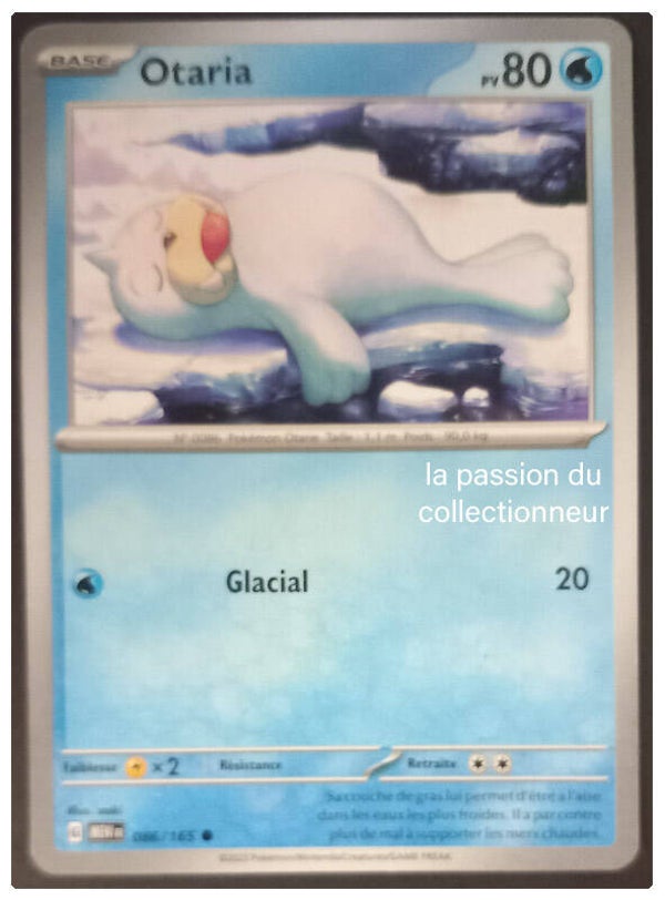 Carte pokemon commune classique de Otaria