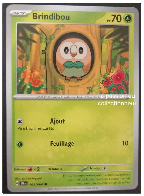 Carte pokemon commune classique de Brindibou
