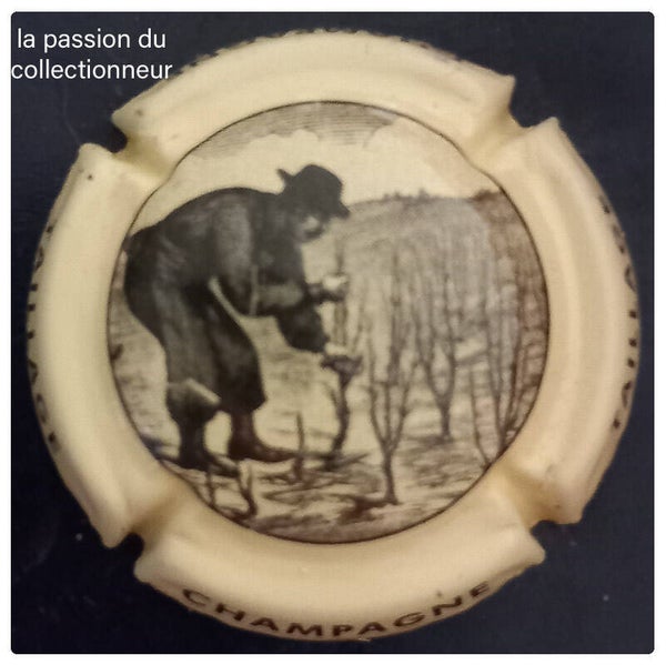 Capsule de champagne générique