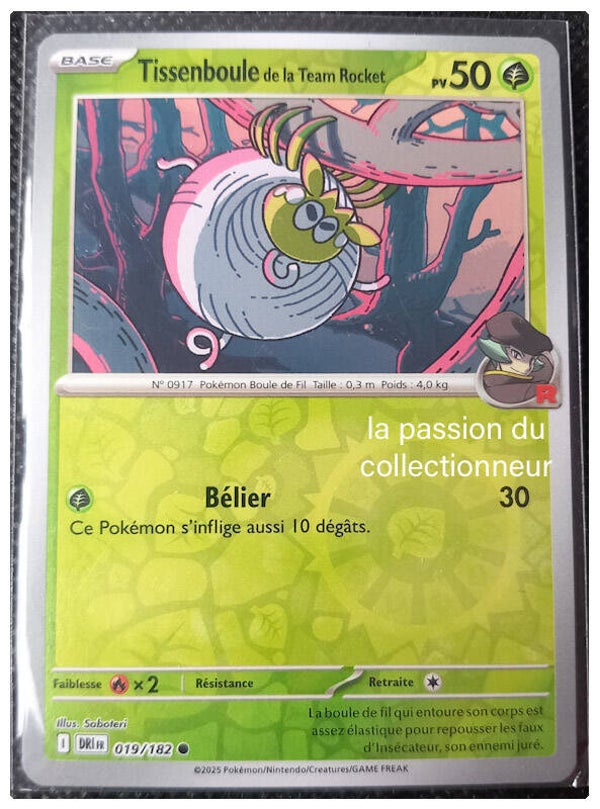 Carte pokémon holographiques et reverses de Tissenboule 019/182