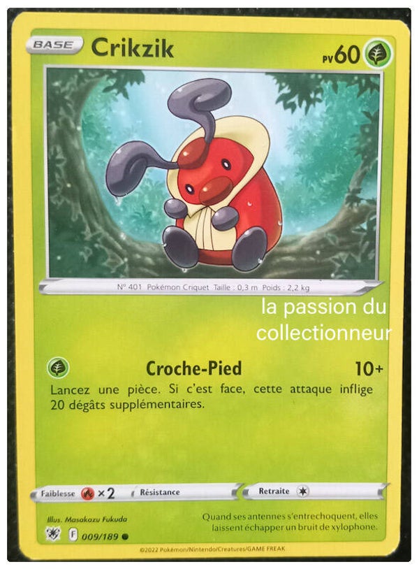 Carte pokemon commune classique de Crikzik 009/189