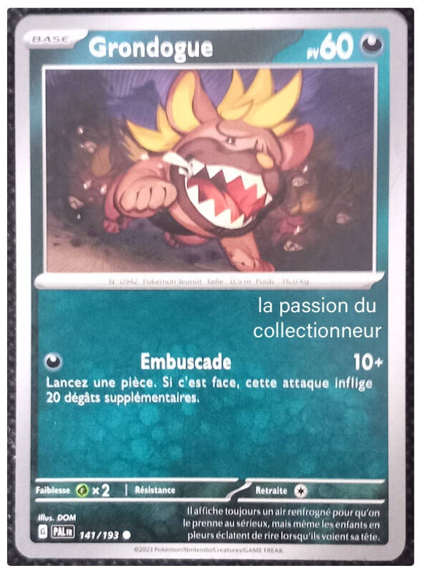 Carte pokémon commune classique de Grondogue 141/193