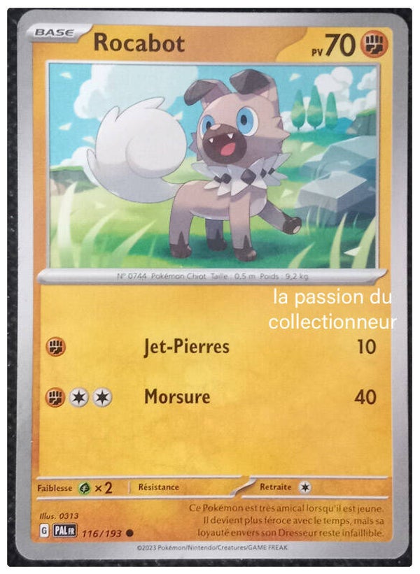 Carte pokémon commune classique de Rocabot 116/193