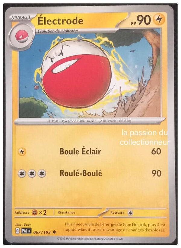 Carte pokémon peu commune classique de Électrode 067/193