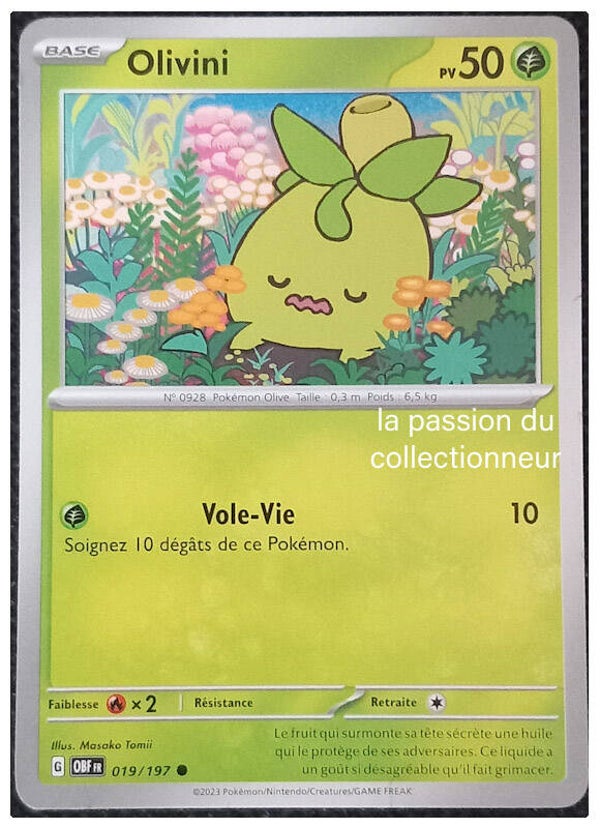 Carte pokémon commune classique de Olivini 019/197