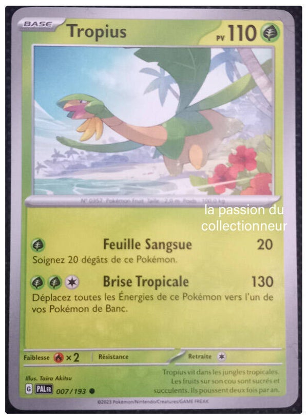Carte pokémon commune classique de Tropius 007/193