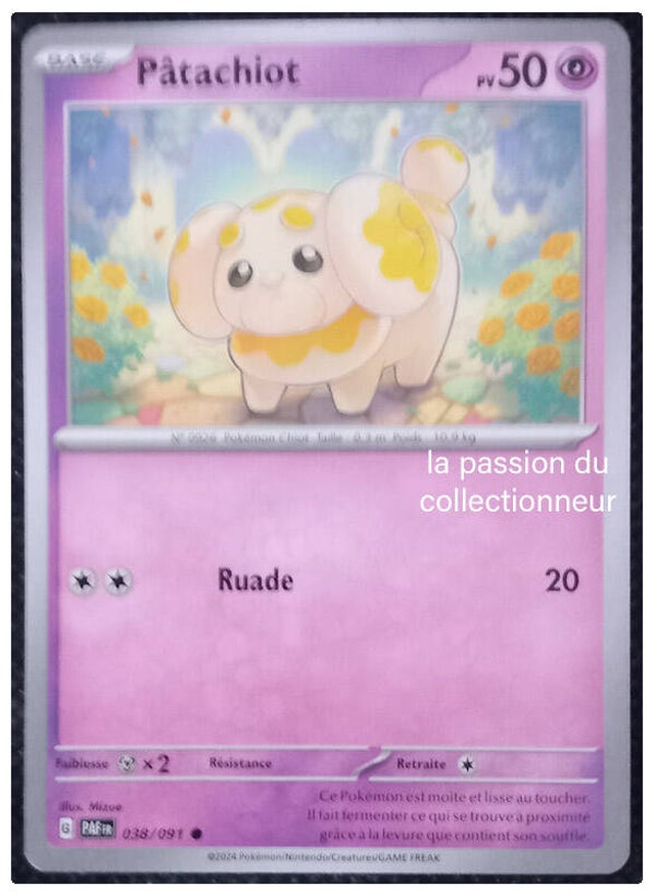 Carte pokémon commune classique de Pâtachiot 038/091