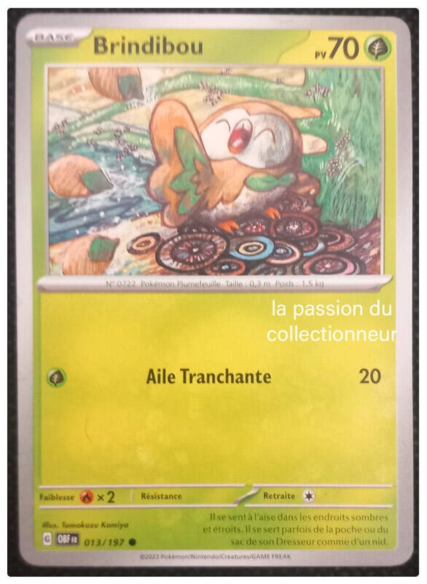 Carte pokémon commune classique de Brindibou 013/197