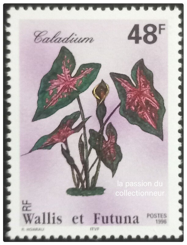 Timbre de Wallis et Futuna neuf numéro 494 ●