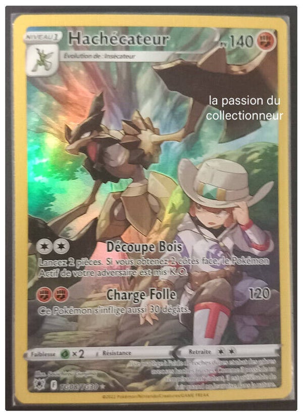 Carte pokémon trainer gallery de Hachécateur TG08/TG30
