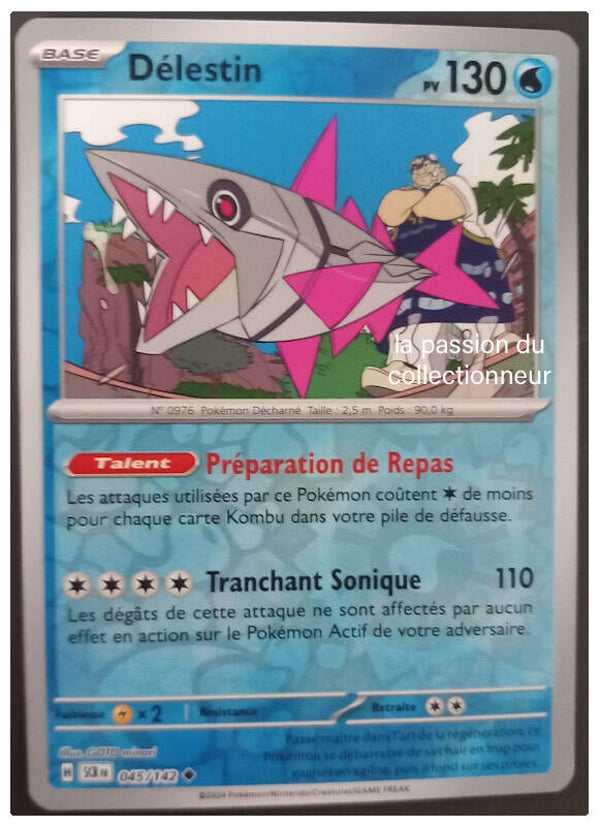 Carte pokémon reverses de Délestin 045/142