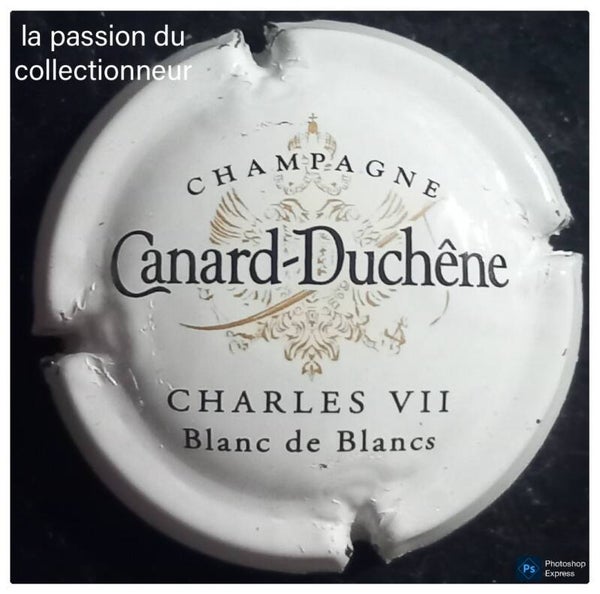 Capsule de champagne Canard Duchêne