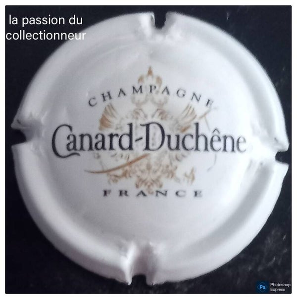 Capsule de champagne Canard Duchêne