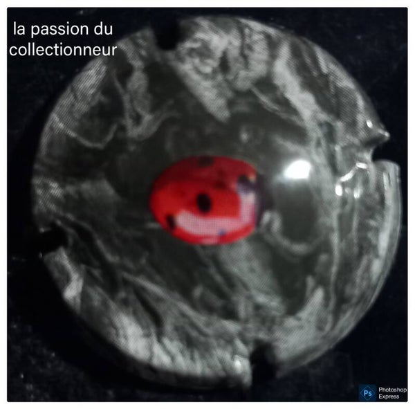 Capsule de champagne générique