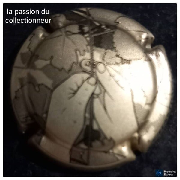 Capsule de champagne générique