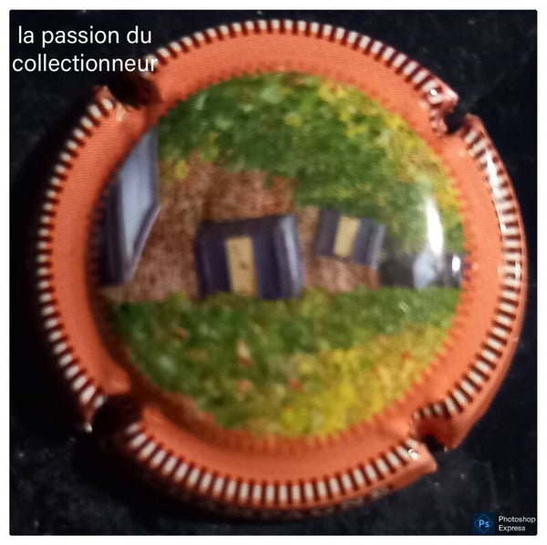 Capsule de champagne générique