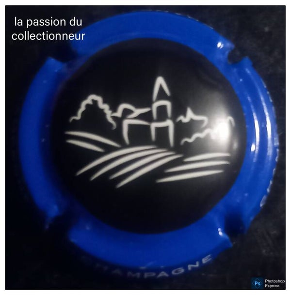 Capsule de champagne générique