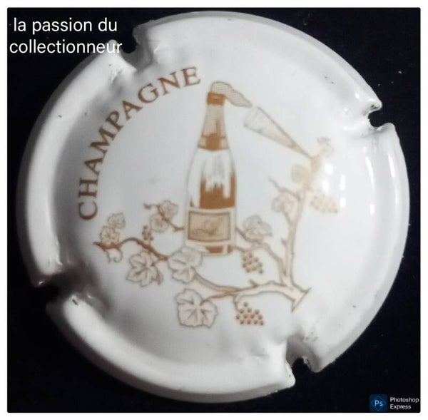 Capsule de champagne Autreau