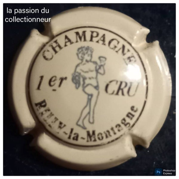 Capsule de champagne Rilly la Montagne