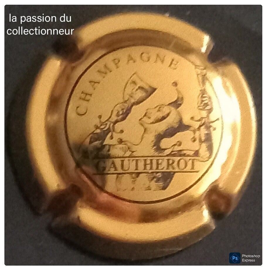 Capsule de champagne Gautherot