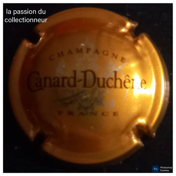 Capsule de champagne Canard Duchêne