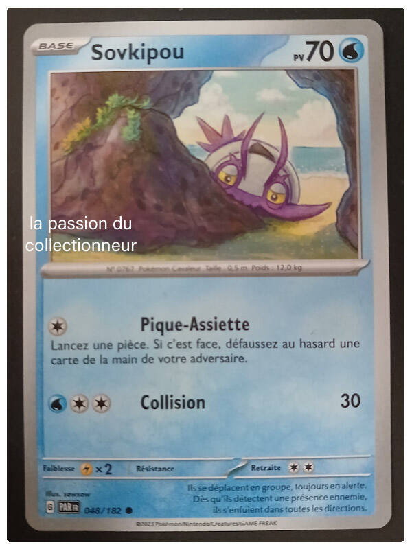 Carte pokémon de Sovkipou 048/182