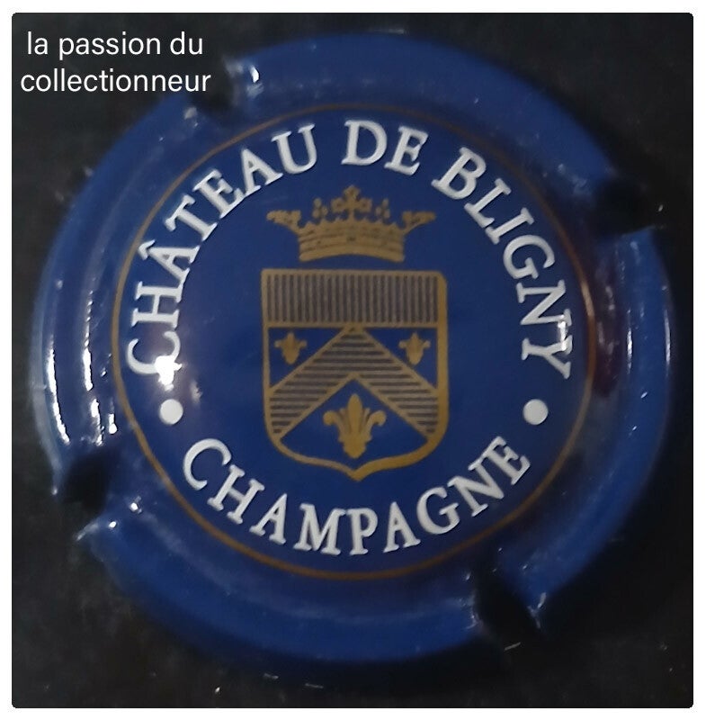 Capsule de champagne Château de Bligny
