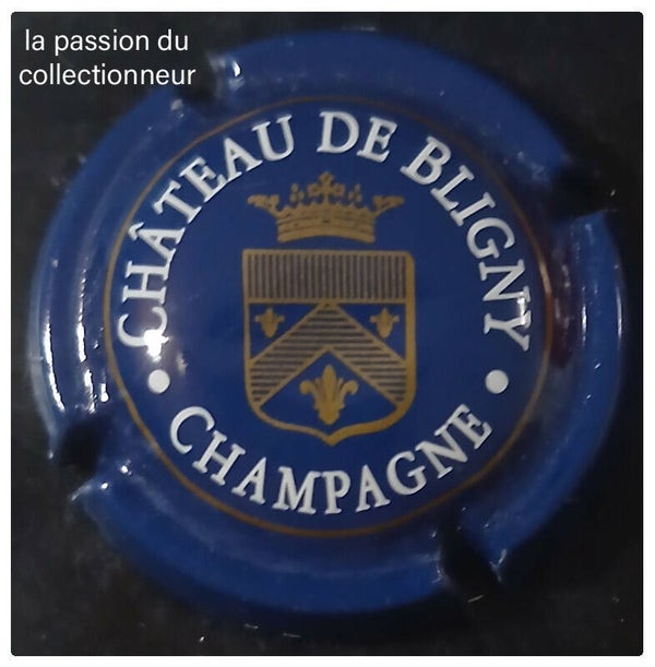 Capsule de champagne Château de Bligny