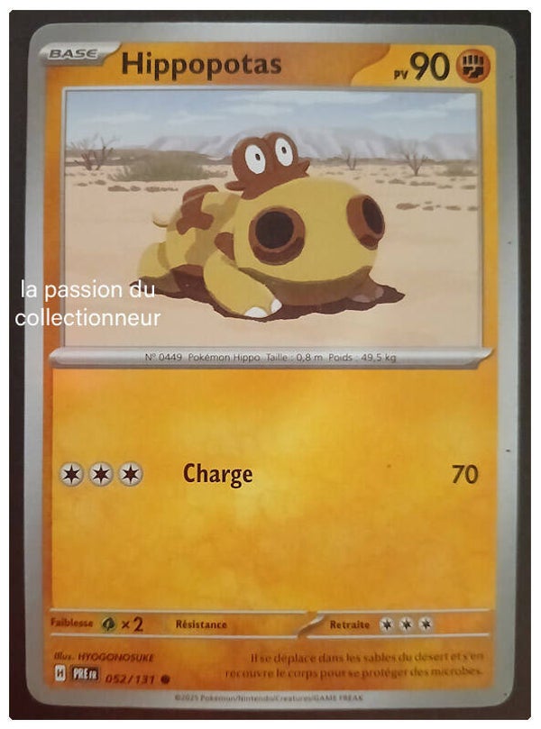 Carte pokémon de Hippopotas 052/131