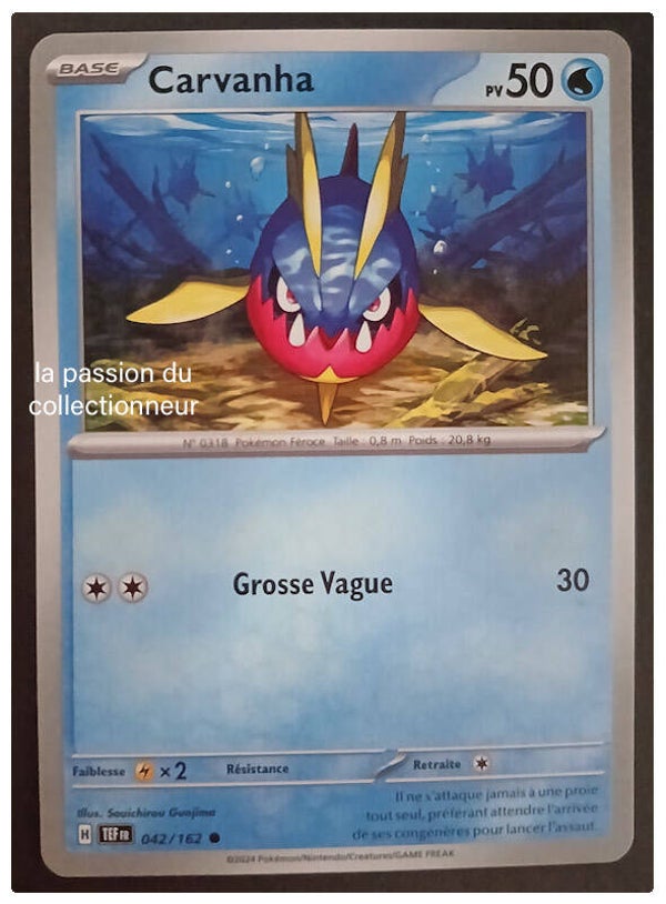 Carte pokémon de Carvanha 042/162