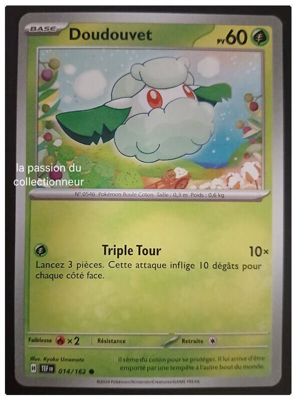 Carte pokémon de Doudouvet 014/162