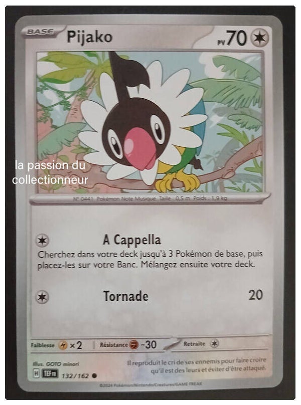 Carte pokémon de Pijako 132/162