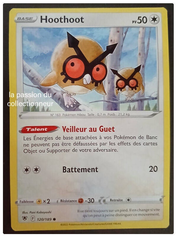 Carte pokémon de Hoothoot 120/189