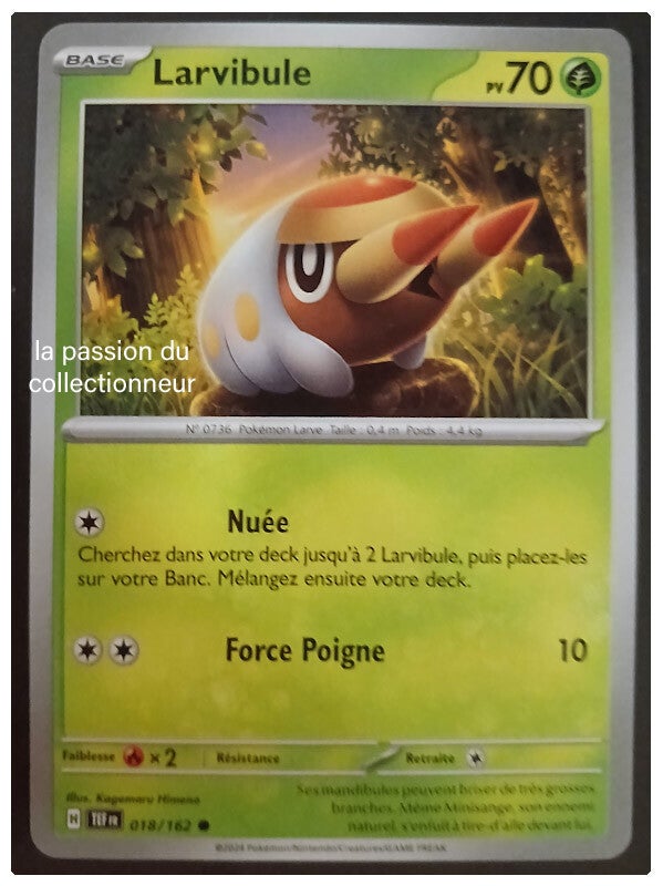 Carte pokémon de Larvibule 018/162