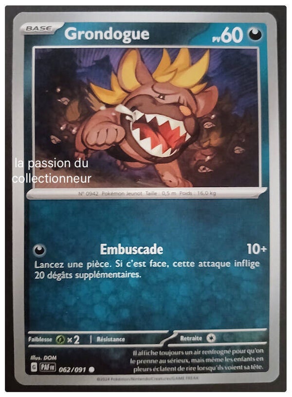 Carte pokémon de Grondogue 062/091