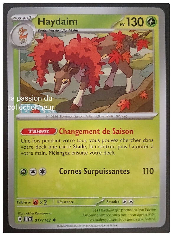 Carte pokémon de Haydaim 017/162