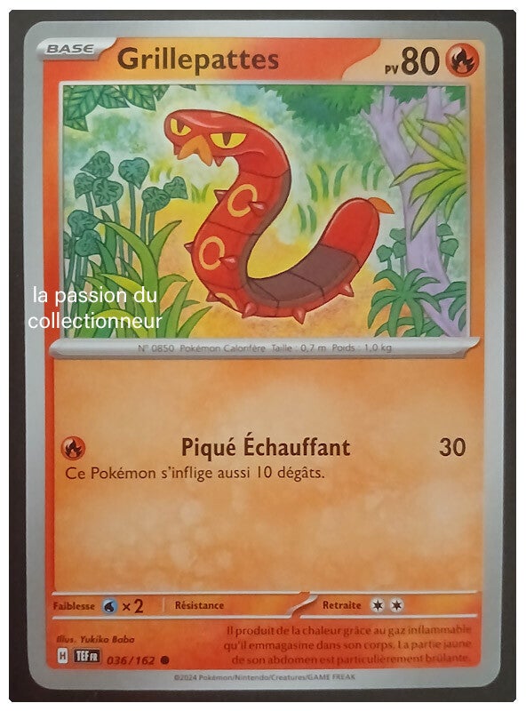 Carte pokémon de Grillepattes 036/162