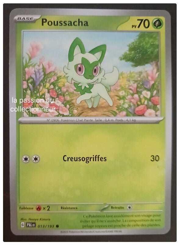 Carte pokémon de Poussacha 013/193