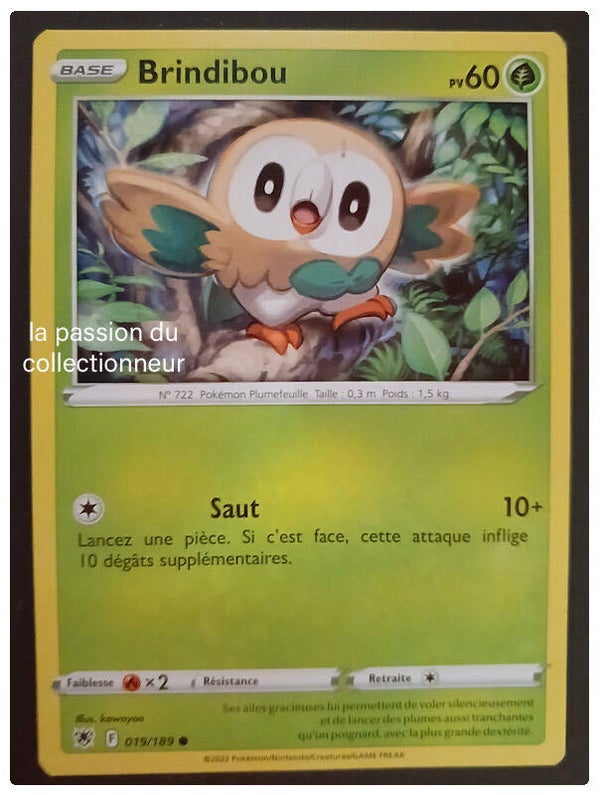Carte pokémon de Brindibou 019/189
