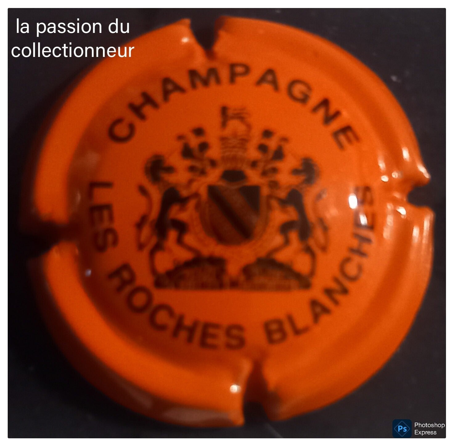 Capsule de champagne Les Roches Blanches