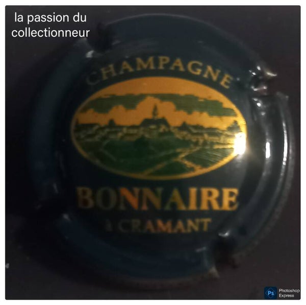 Capsule de champagne Monnaire