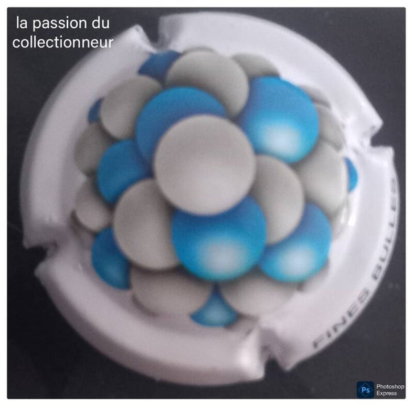 Capsule de champagne générique