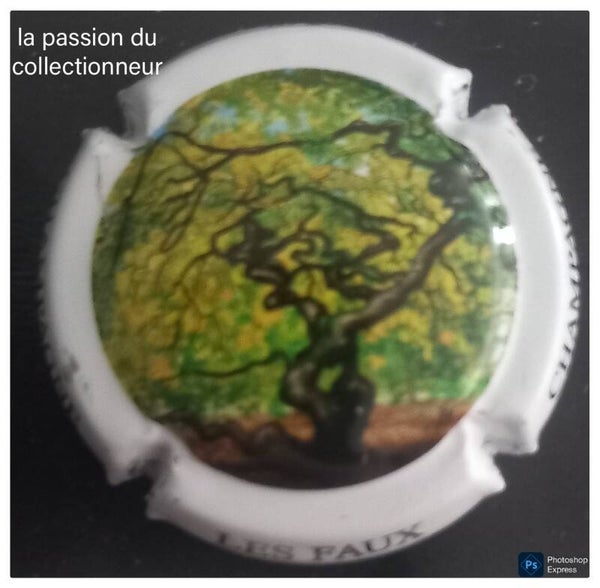 Capsule de champagne générique